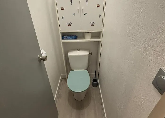 Apartamento Grand F2 40 M2 Centre Port, Loggia 5m2, Vue Jardin, Belle Terrasse, Parking Privé *